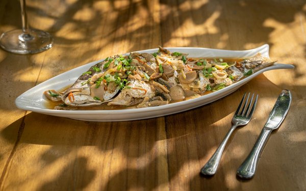 Brilla con joyería y accesorios de moda femeninos únicos