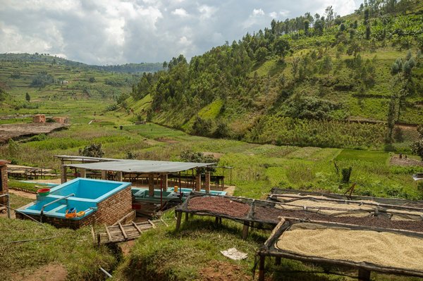 ¿Cómo organizar un sistema de reciclaje eficiente en una casa con espacio limitado?