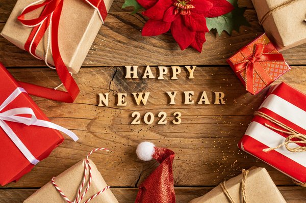 ¿Cuáles son los signos de enfermedad en las aves y cómo actuar rápidamente?